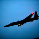Image for article titled My, What Pretty, Razor-Thin Wings You Have